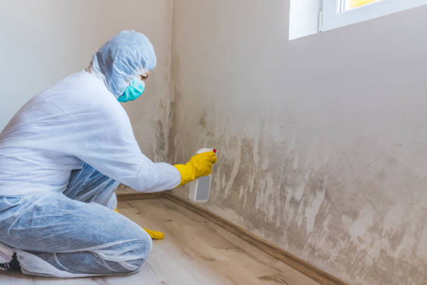 Licensed Commercial Mold Remediation service in Grand Ledge, MI - WQB Mold Removal