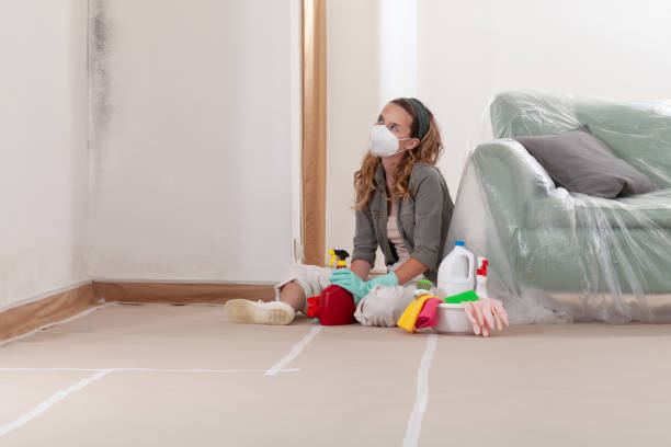 Reliable Commercial Mold Remediation contractor in Grand Ledge, MI by WQB Mold Removal